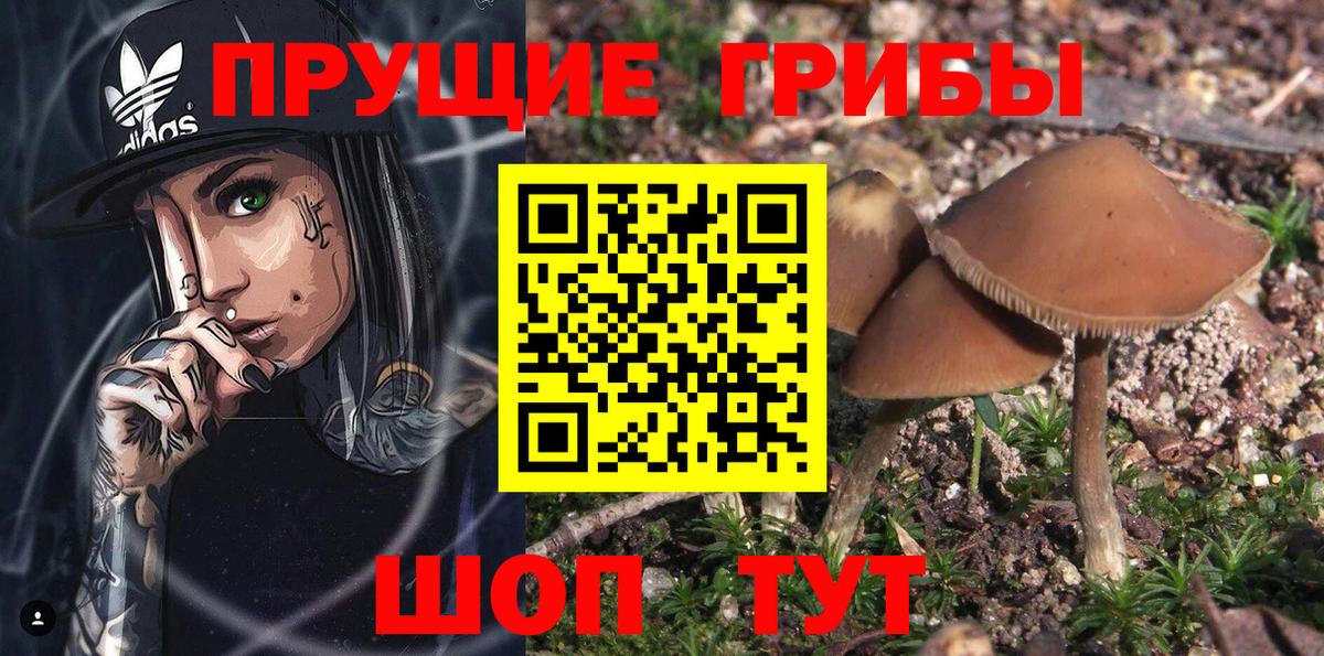 Псилоцибиновые грибы мухоморы Михайловка
