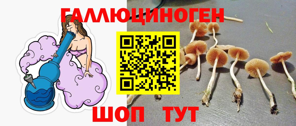 Михайловка  Галлюциногенные грибы Psilocybine cubensis  Вход с VPN 